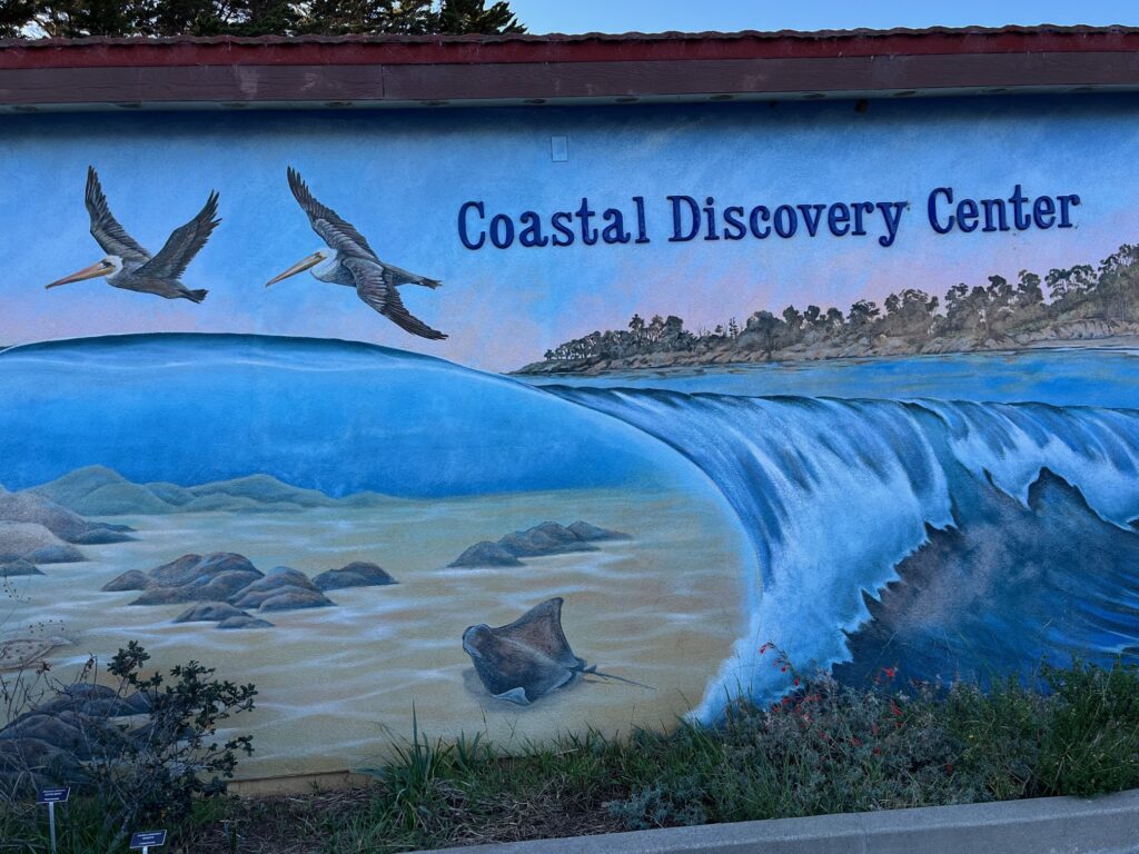 Coastal Discovery Center San Simeon.jpg