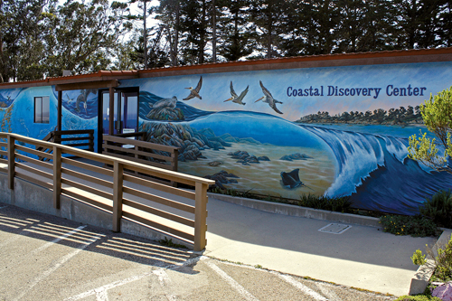 Coastal_Discovery_Center_and_Mural_edited-1