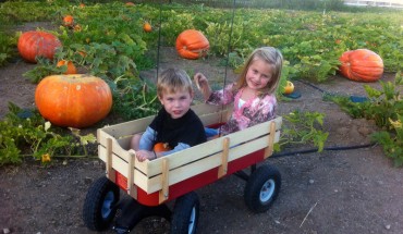 central coast pumpkin patch