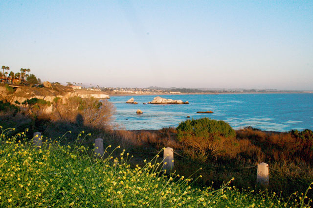 Dinosaur Cave Park shell beach pismo beach