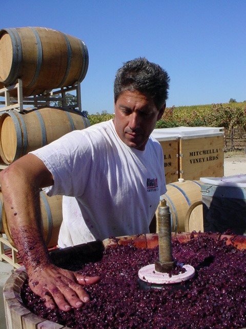 Owner Darren pressing grapes