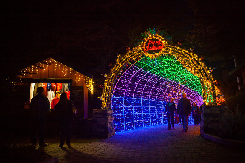 Xmas light tunnel at Cambria Christmas Market