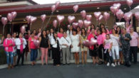 the wellness kitchen, breast cancer awareness month, templeton