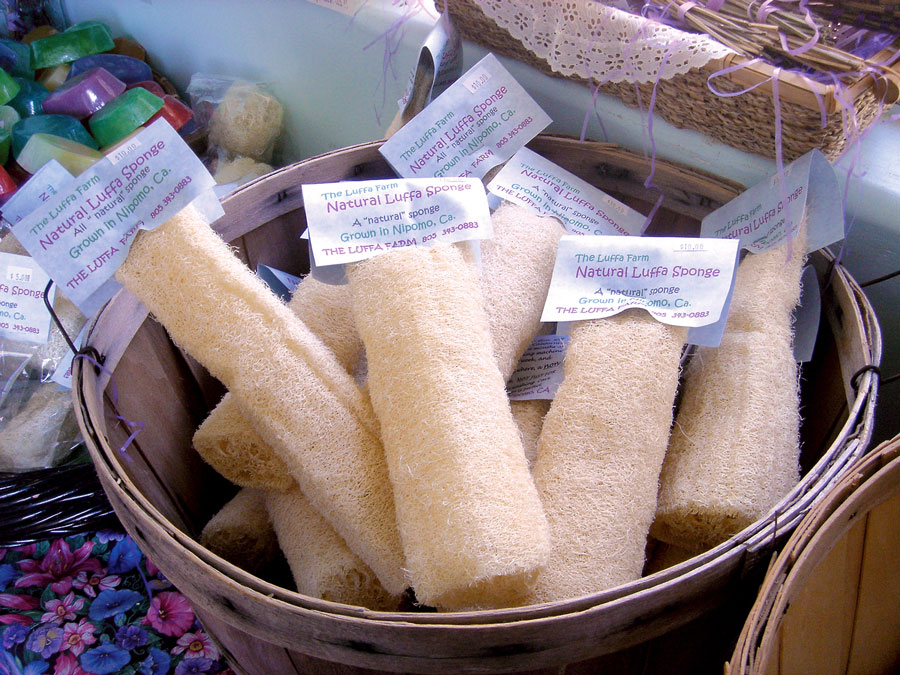 Nipomo Luffa Farm