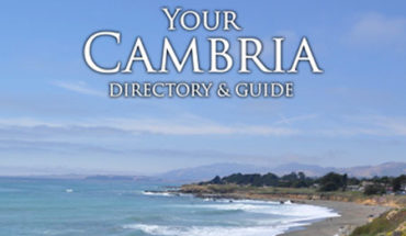 cambria directory