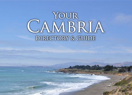 cambria directory