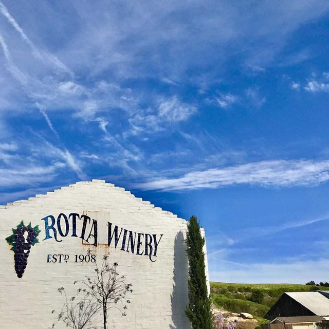 rotta winery