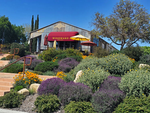 Winward Vineyards Paso Robles