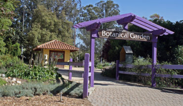SLO Botanical Gardens