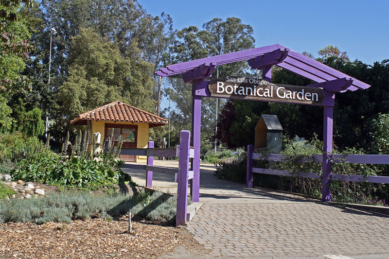 Discover The San Luis Obispo Botanical Gardens San Luis Obispo