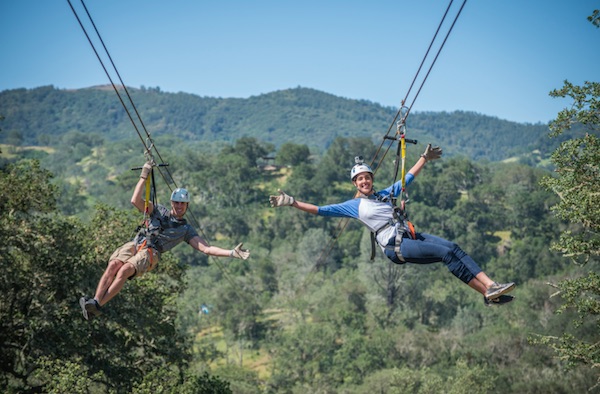 zip liners