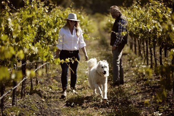 Brecon Estates Paso Robles wine tasting