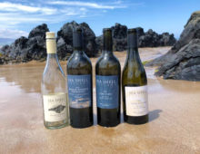 Sea Shell Cellars