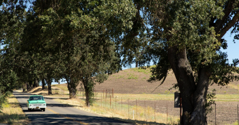 Paso Robles backroads