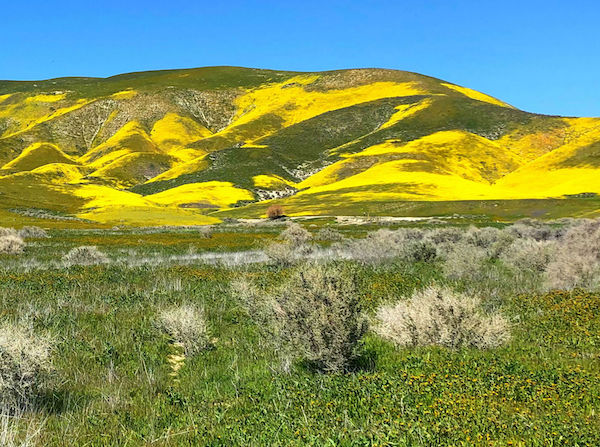 Carrizo Plains