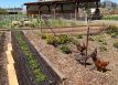 City Farm San Luis Obispo