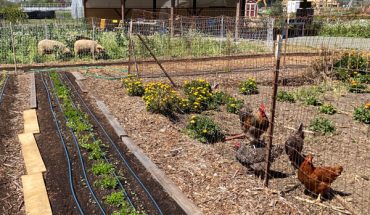 City Farm San Luis Obispo
