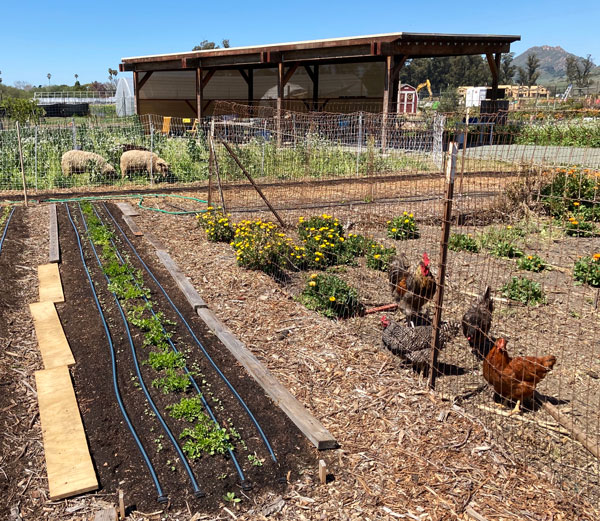 City Farm San Luis Obispo