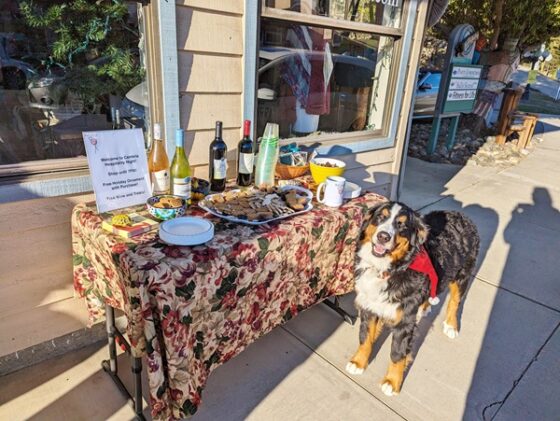 Ball & Skein & More yarn in Cambria