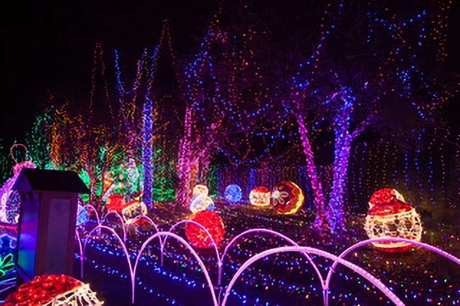 https://s8149.pcdn.co/wp-content/uploads/2022/09/CCM_lightdisplay.jpg