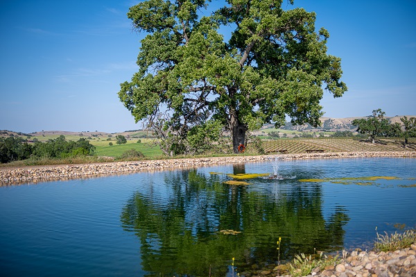 Seven Angels Winery Paso Robles