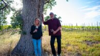 Seven Angels Wines Paso Robles