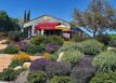 Windward Vineyards Paso Robles