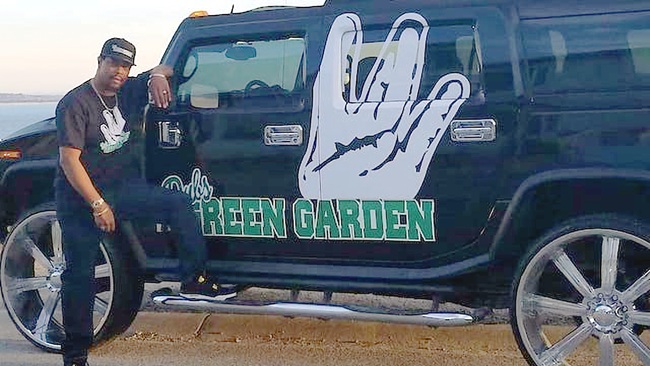 Dub's Green Garden cannabis delivery