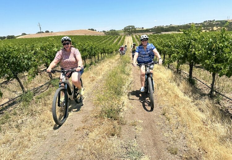 E Bike tour Robert Hall Vineyards