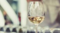 best white wine for the 2023 holidays