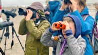 Morro Bay Bird Festival 2025