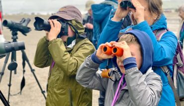 Morro Bay Bird Festival 2025