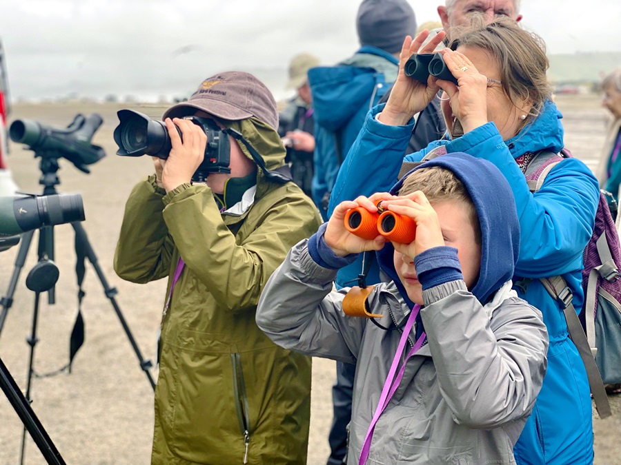 Morro Bay Bird Festival 2025