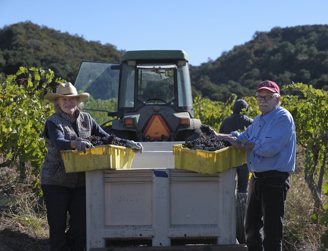 Saucelito Vineyards Arroyo Grande