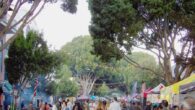 SLO Farmers Market