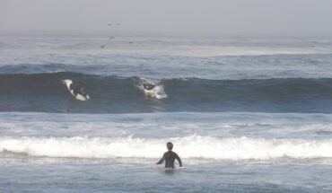 Things to do in Morro Bay