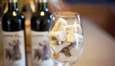 Dracaena Wines dog friendly tasting room