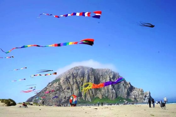 Morro Bay Kite Festival