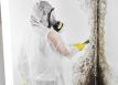 mold cleanup San Luis Obispo County