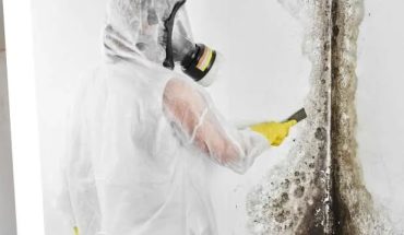 mold cleanup San Luis Obispo County