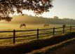 luxury real estate Paso Robles