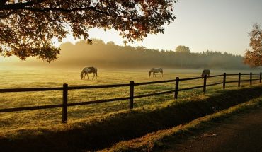 luxury real estate Paso Robles