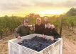 Flunz Family Winery Paso Robles