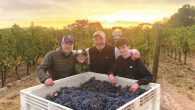 Flunz Family Winery Paso Robles