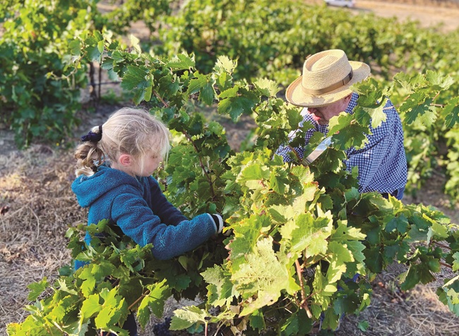 Glunz Family Winery