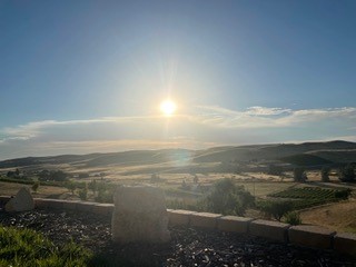 Mystic Hills Vineyard