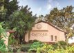 Castoro Cellars