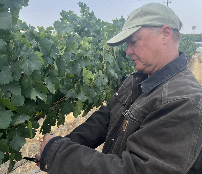 Le Vigne Paso Robles wine country