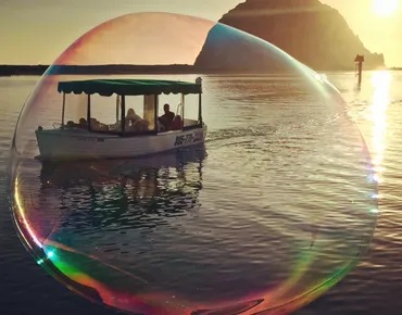 Bay Cruisers