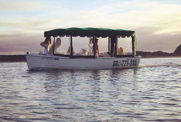 Bay Cruisers